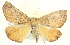  ( - BIOUG04098-B07)  @13 [ ] CreativeCommons - Attribution (2012) CBG Photography Group Centre for Biodiversity Genomics