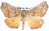  ( - BIOUG04098-B08)  @14 [ ] CreativeCommons - Attribution (2012) CBG Photography Group Centre for Biodiversity Genomics