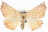  ( - BIOUG04098-B10)  @13 [ ] CreativeCommons - Attribution (2012) CBG Photography Group Centre for Biodiversity Genomics
