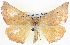  ( - BIOUG04098-C02)  @13 [ ] CreativeCommons - Attribution (2012) CBG Photography Group Centre for Biodiversity Genomics