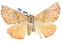  ( - BIOUG04098-C03)  @13 [ ] CreativeCommons - Attribution (2012) CBG Photography Group Centre for Biodiversity Genomics