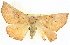  ( - BIOUG04098-C04)  @13 [ ] CreativeCommons - Attribution (2012) CBG Photography Group Centre for Biodiversity Genomics