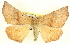  ( - BIOUG04098-C05)  @13 [ ] CreativeCommons - Attribution (2012) CBG Photography Group Centre for Biodiversity Genomics