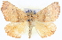  ( - BIOUG04098-C07)  @13 [ ] CreativeCommons - Attribution (2012) CBG Photography Group Centre for Biodiversity Genomics