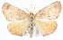  ( - BIOUG04098-C09)  @14 [ ] CreativeCommons - Attribution (2012) CBG Photography Group Centre for Biodiversity Genomics