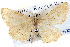  ( - BIOUG04098-D01)  @14 [ ] CreativeCommons - Attribution (2012) CBG Photography Group Centre for Biodiversity Genomics