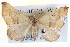  ( - BIOUG04098-E12)  @15 [ ] CreativeCommons - Attribution (2012) CBG Photography Group Centre for Biodiversity Genomics