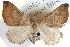  ( - BIOUG04098-F01)  @15 [ ] CreativeCommons - Attribution (2012) CBG Photography Group Centre for Biodiversity Genomics