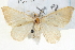  ( - BIOUG04098-F04)  @11 [ ] CreativeCommons - Attribution (2012) CBG Photography Group Centre for Biodiversity Genomics