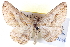  ( - BIOUG04099-G12)  @14 [ ] CreativeCommons - Attribution (2012) CBG Photography Group Centre for Biodiversity Genomics