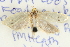  ( - BIOUG04109-A08)  @12 [ ] CreativeCommons - Attribution (2012) CBG Photography Group Centre for Biodiversity Genomics