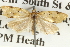  ( - BIOUG04109-A10)  @13 [ ] CreativeCommons - Attribution (2012) CBG Photography Group Centre for Biodiversity Genomics