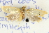  ( - BIOUG04109-A11)  @12 [ ] CreativeCommons - Attribution (2012) CBG Photography Group Centre for Biodiversity Genomics