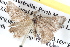 ( - BIOUG04109-B09)  @11 [ ] CreativeCommons - Attribution (2012) CBG Photography Group Centre for Biodiversity Genomics