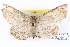  ( - BIOUG04109-C02)  @12 [ ] CreativeCommons - Attribution (2012) CBG Photography Group Centre for Biodiversity Genomics