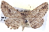 ( - BIOUG04109-E11)  @13 [ ] CreativeCommons - Attribution (2012) CBG Photography Group Centre for Biodiversity Genomics