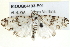  ( - BIOUG04193-E01)  @12 [ ] CreativeCommons - Attribution (2012) CBG Photography Group Centre for Biodiversity Genomics