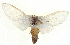  ( - BIOUG04193-G11)  @14 [ ] CreativeCommons - Attribution (2012) CBG Photography Group Centre for Biodiversity Genomics