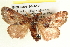  ( - BIOUG04194-A12)  @14 [ ] CreativeCommons - Attribution (2012) CBG Photography Group Centre for Biodiversity Genomics