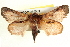  ( - BIOUG04194-B01)  @13 [ ] CreativeCommons - Attribution (2012) CBG Photography Group Centre for Biodiversity Genomics