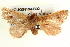  ( - BIOUG04194-B02)  @14 [ ] CreativeCommons - Attribution (2012) CBG Photography Group Centre for Biodiversity Genomics