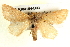  ( - BIOUG04194-B03)  @14 [ ] CreativeCommons - Attribution (2012) CBG Photography Group Centre for Biodiversity Genomics