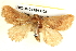  ( - BIOUG04194-B05)  @13 [ ] CreativeCommons - Attribution (2012) CBG Photography Group Centre for Biodiversity Genomics