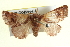  ( - BIOUG04194-B12)  @13 [ ] CreativeCommons - Attribution (2012) CBG Photography Group Centre for Biodiversity Genomics