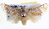  ( - BIOUG04194-C01)  @14 [ ] CreativeCommons - Attribution (2012) CBG Photography Group Centre for Biodiversity Genomics