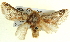  ( - BIOUG04194-C02)  @14 [ ] CreativeCommons - Attribution (2012) CBG Photography Group Centre for Biodiversity Genomics