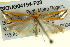  ( - BIOUG04194-F03)  @13 [ ] CreativeCommons - Attribution (2012) CBG Photography Group Centre for Biodiversity Genomics