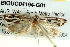  ( - BIOUG04194-G01)  @13 [ ] CreativeCommons - Attribution (2012) CBG Photography Group Centre for Biodiversity Genomics