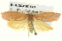  ( - BIOUG04195-B03)  @13 [ ] CreativeCommons - Attribution (2013) CBG Photography Group Centre for Biodiversity Genomics