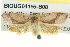  ( - BIOUG04195-B08)  @12 [ ] CreativeCommons - Attribution (2013) CBG Photography Group Centre for Biodiversity Genomics