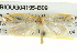  ( - BIOUG04195-B09)  @13 [ ] CreativeCommons - Attribution (2013) CBG Photography Group Centre for Biodiversity Genomics