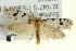  ( - BIOUG04195-C07)  @13 [ ] CreativeCommons - Attribution (2013) CBG Photography Group Centre for Biodiversity Genomics