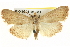  ( - BIOUG04195-C11)  @15 [ ] CreativeCommons - Attribution (2013) CBG Photography Group Centre for Biodiversity Genomics