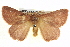  ( - BIOUG04226-D09)  @15 [ ] CreativeCommons - Attribution (2012) CBG Photography Group Centre for Biodiversity Genomics
