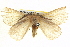  ( - BIOUG04226-D10)  @15 [ ] CreativeCommons - Attribution (2012) CBG Photography Group Centre for Biodiversity Genomics