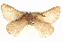  ( - BIOUG04226-D11)  @13 [ ] CreativeCommons - Attribution (2012) CBG Photography Group Centre for Biodiversity Genomics