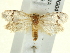  ( - BIOUG04195-E08)  @13 [ ] CreativeCommons - Attribution (2013) CBG Photography Group Centre for Biodiversity Genomics