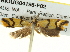  ( - BIOUG04195-F02)  @12 [ ] CreativeCommons - Attribution (2013) CBG Photography Group Centre for Biodiversity Genomics