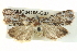  ( - BIOUG04195-G07)  @14 [ ] CreativeCommons - Attribution (2013) CBG Photography Group Centre for Biodiversity Genomics