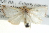  ( - BIOUG04226-H09)  @13 [ ] CreativeCommons - Attribution (2012) CBG Photography Group Centre for Biodiversity Genomics