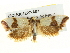  ( - BIOUG04227-A07)  @14 [ ] CreativeCommons - Attribution (2013) CBG Photography Group Centre for Biodiversity Genomics