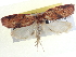  ( - BIOUG04227-B02)  @12 [ ] CreativeCommons - Attribution (2013) CBG Photography Group Centre for Biodiversity Genomics