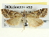  ( - BIOUG04227-B12)  @14 [ ] CreativeCommons - Attribution (2013) CBG Photography Group Centre for Biodiversity Genomics