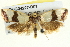  ( - BIOUG04227-D01)  @14 [ ] CreativeCommons - Attribution (2013) CBG Photography Group Centre for Biodiversity Genomics