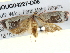  ( - BIOUG04227-D06)  @14 [ ] CreativeCommons - Attribution (2013) CBG Photography Group Centre for Biodiversity Genomics