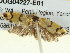  ( - BIOUG04227-E01)  @12 [ ] CreativeCommons - Attribution (2013) CBG Photography Group Centre for Biodiversity Genomics